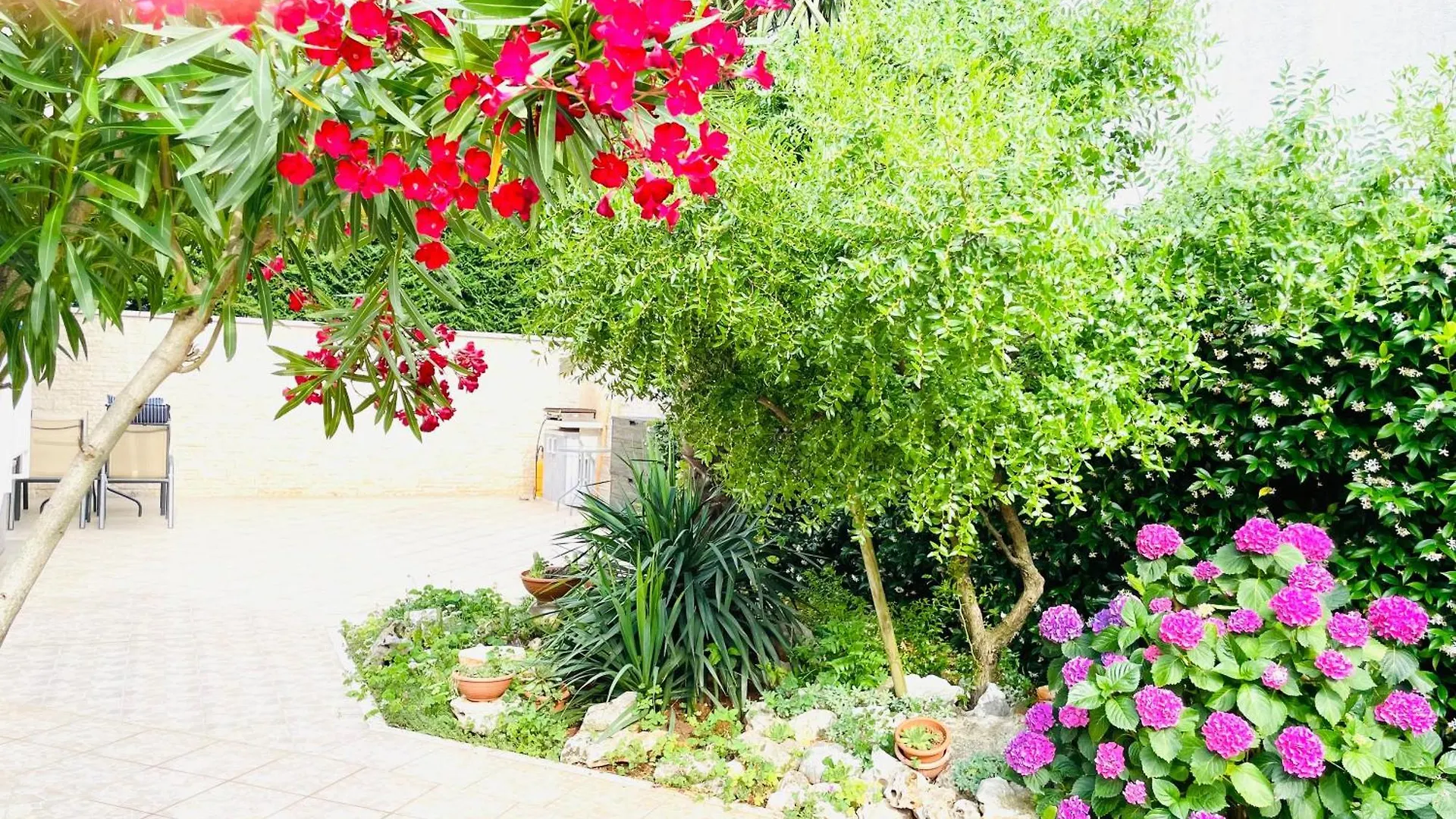 Apartment Olea Beach Umag