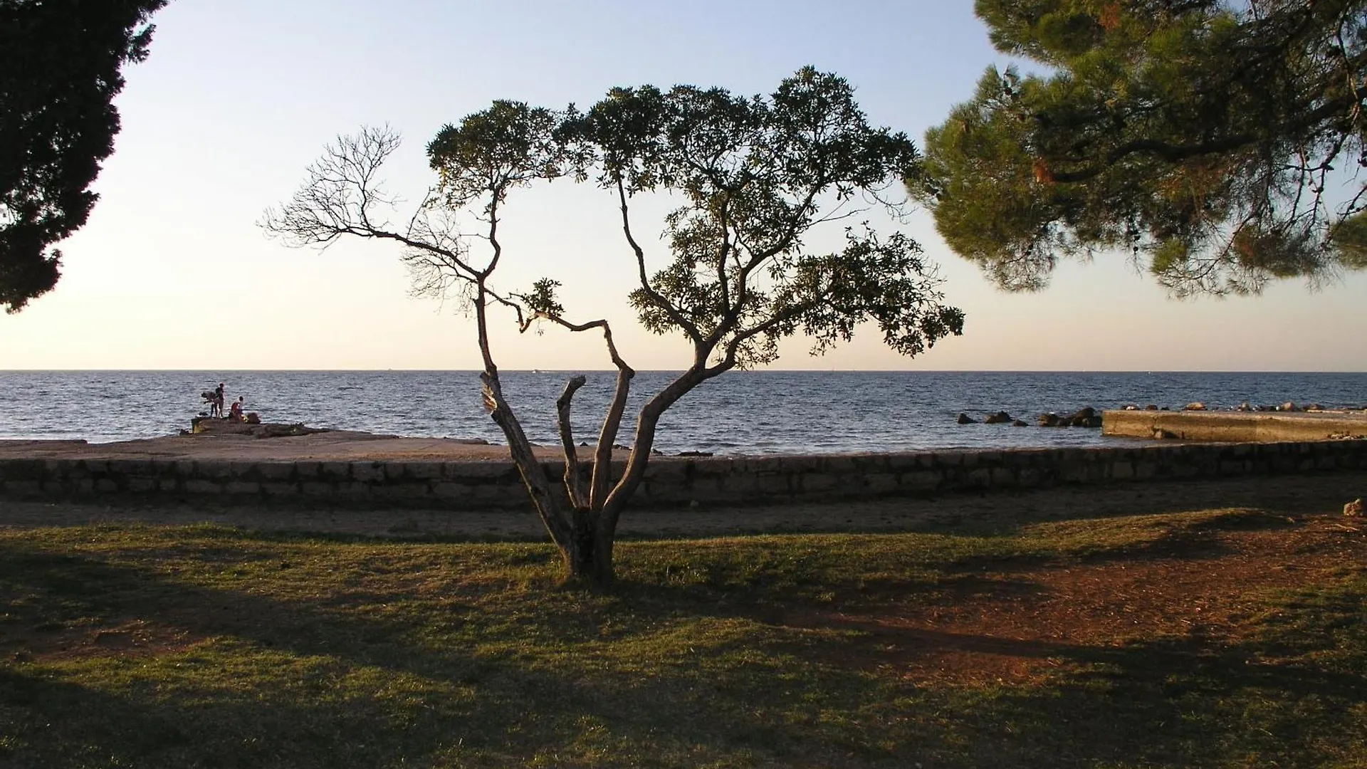 Olea Beach Umag 0*,
